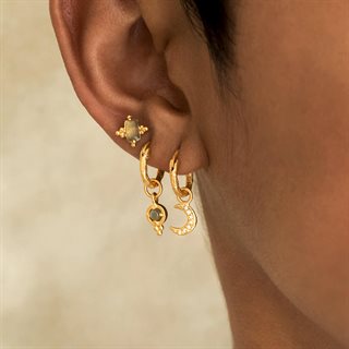 Ananda Soul - Dreamseed Earrings - Labradortie - Gold